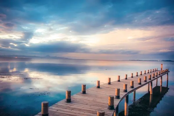 聊城大学李子亮老师简介