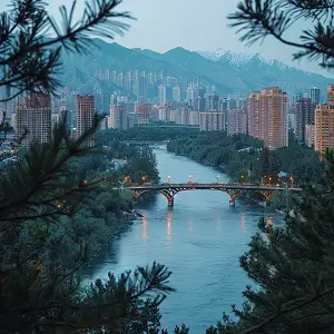 武汉大学左然教授简介