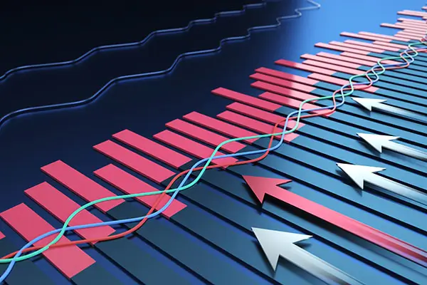 中南大学陈美丽老师简介