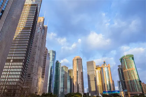 临沂大学李颜秋简介