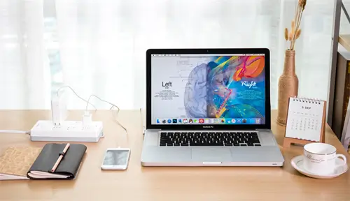 广东大学王禅简介