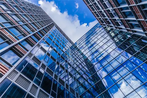 聊城大学张至山简介