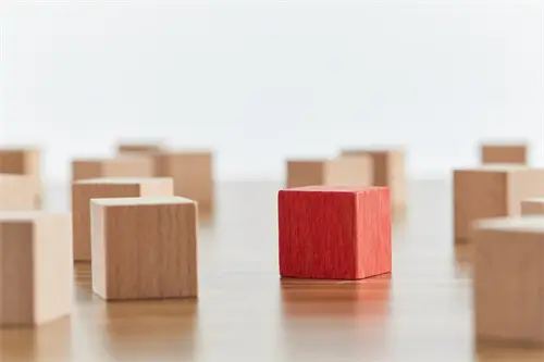 渥太华大学简介英文版