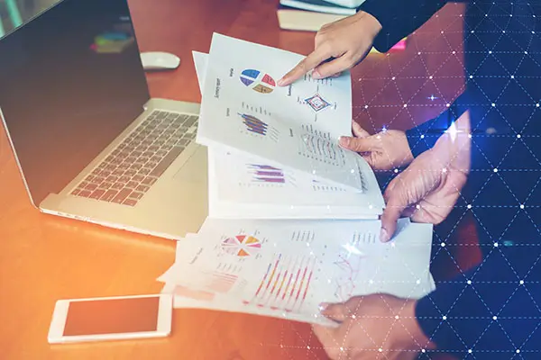 西南大学谢文君简介